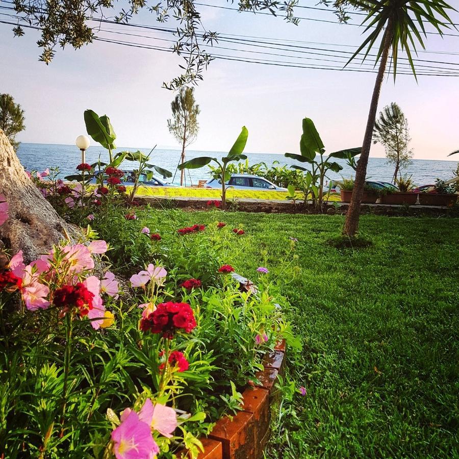 Hotel Jon Dhërmi Dış mekan fotoğraf